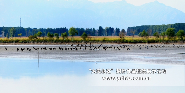 【大美永定】生態(tài)修復(fù)再現(xiàn)鳥(niǎo)類樂(lè)園 【大美永定】生態(tài)修復(fù)再現(xiàn)鳥(niǎo)類樂(lè)園