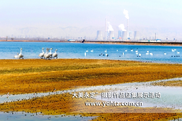 【大美永定】生態(tài)修復(fù)再現(xiàn)鳥(niǎo)類樂(lè)園 【大美永定】生態(tài)修復(fù)再現(xiàn)鳥(niǎo)類樂(lè)園
