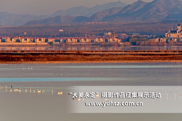 【大美永定】生態(tài)修復(fù)再現(xiàn)鳥(niǎo)類樂(lè)園 【大美永定】生態(tài)修復(fù)再現(xiàn)鳥(niǎo)類樂(lè)園