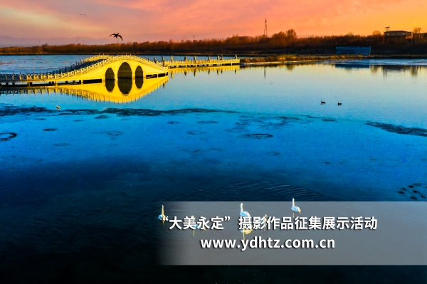【大美永定】生態(tài)修復(fù)再現(xiàn)鳥(niǎo)類樂(lè)園 【大美永定】生態(tài)修復(fù)再現(xiàn)鳥(niǎo)類樂(lè)園