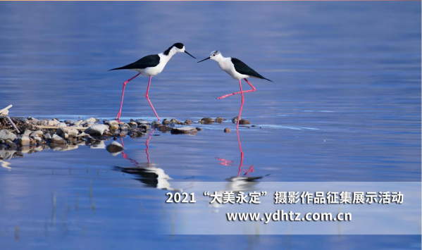 關(guān)愛(ài)河湖 共話(huà)幸福 第二屆“大美永定”攝影作品征集活動(dòng)結(jié)果揭曉 關(guān)愛(ài)河湖 共話(huà)幸福 第二屆“大美永定”攝影作品征集活動(dòng)結(jié)果揭曉