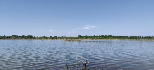 大流量生態(tài)補水啟動 永定河5月再迎全線通水 大流量生態(tài)補水啟動 永定河5月再迎全線通水