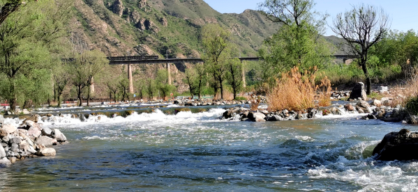 大流量生態(tài)補水啟動 永定河5月再迎全線通水 大流量生態(tài)補水啟動 永定河5月再迎全線通水