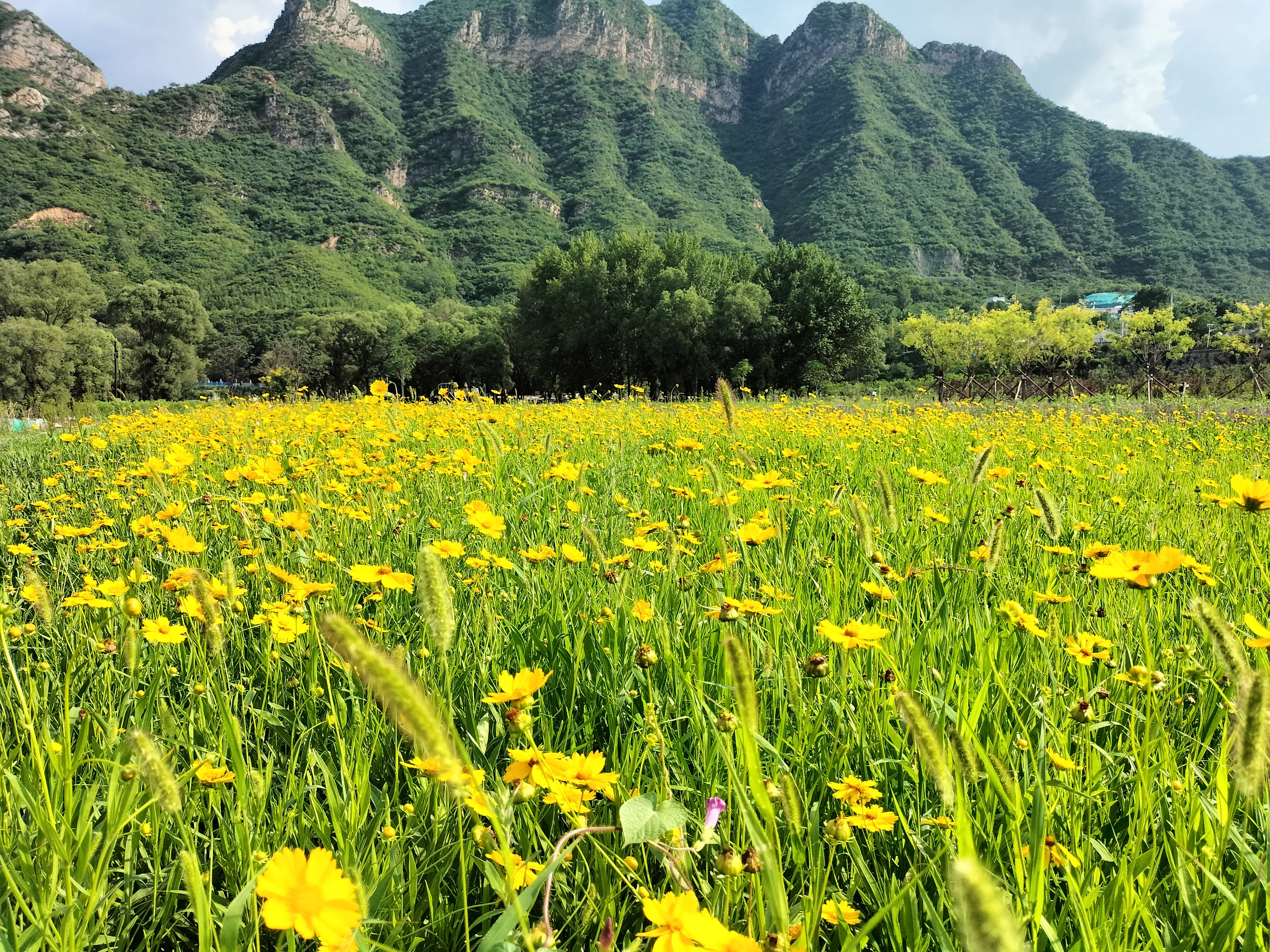 【敬請收看】央視《創(chuàng)新進行時》專題報道永定河山峽段青白口濕地，將于2月20日精彩上線